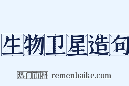 生物卫星造句是什么意思的图片